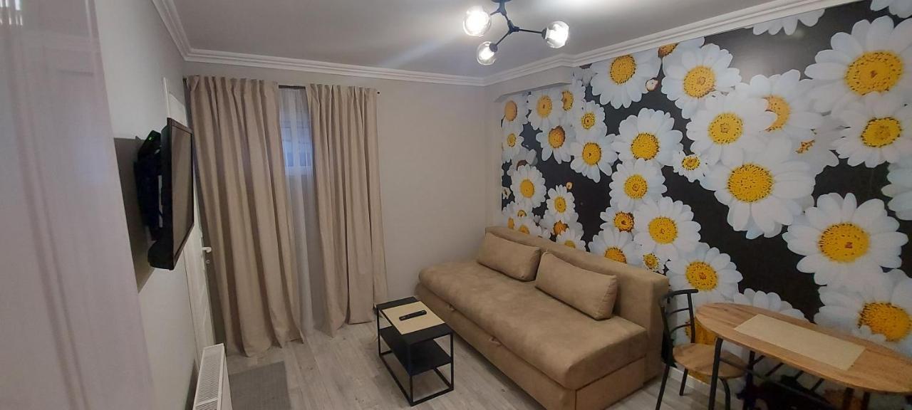 Apartman Studio Dado Διαμέρισμα Užice Εξωτερικό φωτογραφία